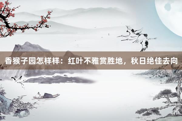 香猴子园怎样样：红叶不雅赏胜地，秋日绝佳去向