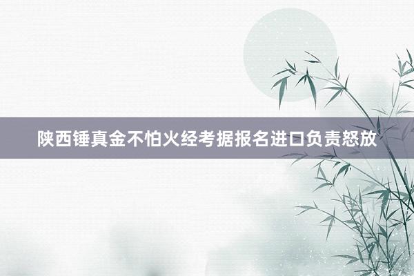 陕西锤真金不怕火经考据报名进口负责怒放